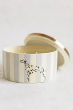 candela Yvonne Ellen - immagine 2