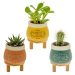 porta piante nuvola etm