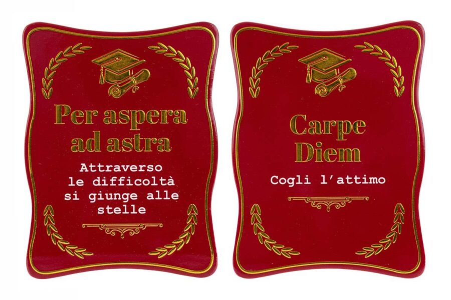 quadretto laurea mattonella - immagine 3