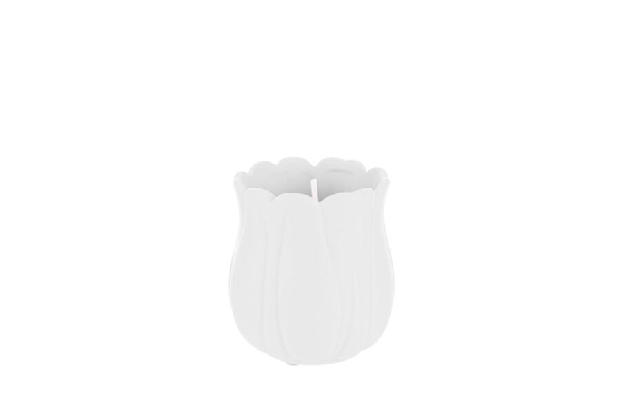 candela tulipano bianco