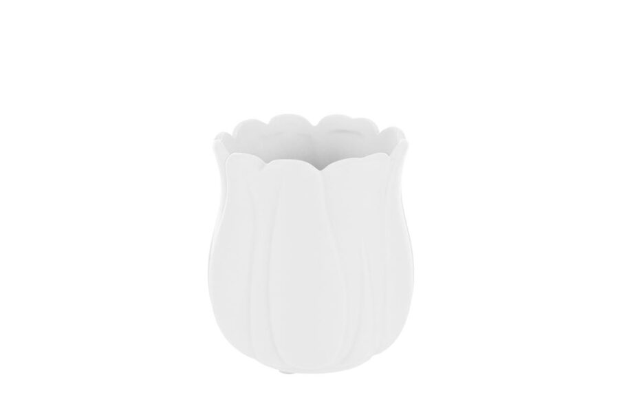 vasetto tulipano