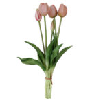 Fascio di 5 Tulipani pink