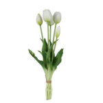 Fascio di 5 Tulipani white
