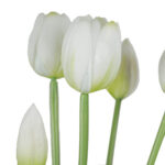 Fascio di 5 Tulipani white - immagine 2