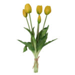 Fascio di 5 Tulipani yellow
