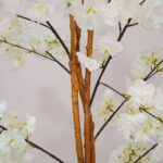 albero di ciliegio bianco 180cm - immagine 2