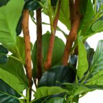 pianta artificiale ficus 180cm - immagine 2