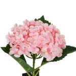 ramo ortensia pink - immagine 2