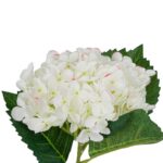 ramo ortensia white - immagine 2