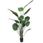 pianta artificiale strelitzia 210cm