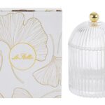 scatola vetro trasparente lunga