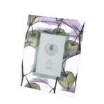 cornice piccola alkekengi