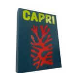 libro svuotatasche big capri