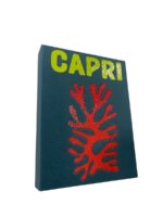 libro svuotatasche big capri