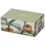 candela in vetro alkekengi ambra - immagine 2