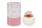 FIORE ROSA COL.ROSA d.7,5xh.9CM C/ASTUCCIO ABB.CANDELA
